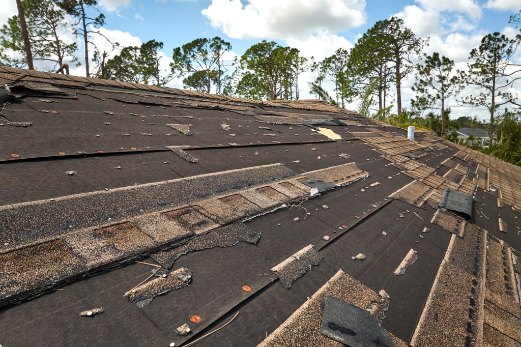 Residential Roofing Problems